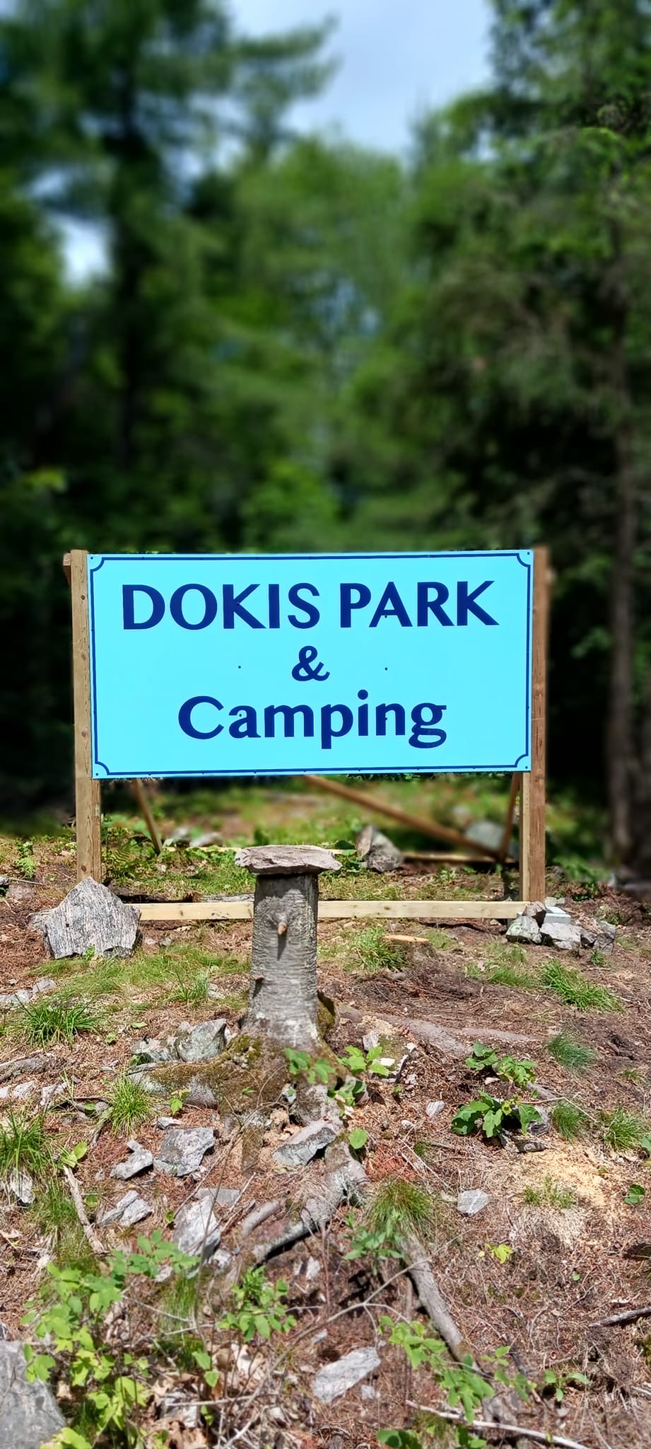 Dokis Parkk